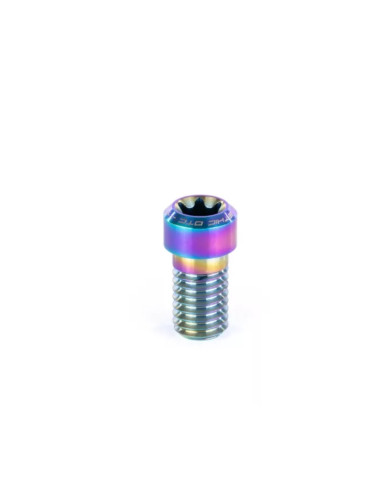 ETHIC VIS DE COLLIER TITANE M8 x1 Rainbow