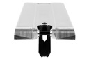 ETHIC Deck LINDWORM V4 170mm Raw